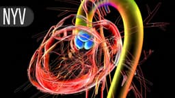 Midterm TAVR Data Turn Muddy: Will 10 Years Even Suffice for a Verdict?