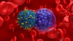 Long-Term CAR-T Results in Lymphoma Confirm Early Promise