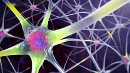 Three Factors Tied to 13 Additional Dementia-Free Years