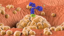 New Strategies and Platforms for Gastroesophageal Cancer