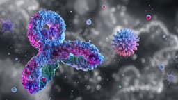 Nirsevimab's RSV Protection Didn't Extend to Second Year